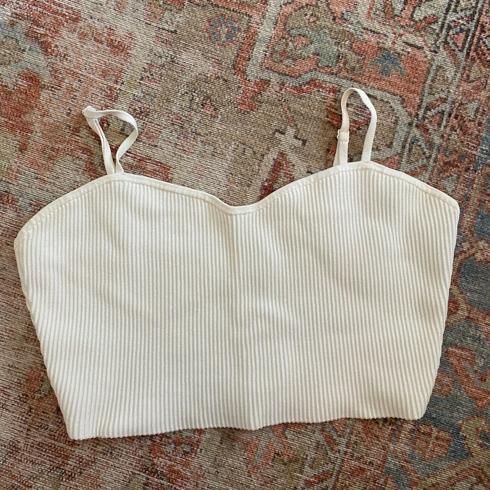 Aritzia Babaton crop top